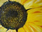 Sunflower-closeup 1