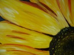 Sunflower-closeup 2